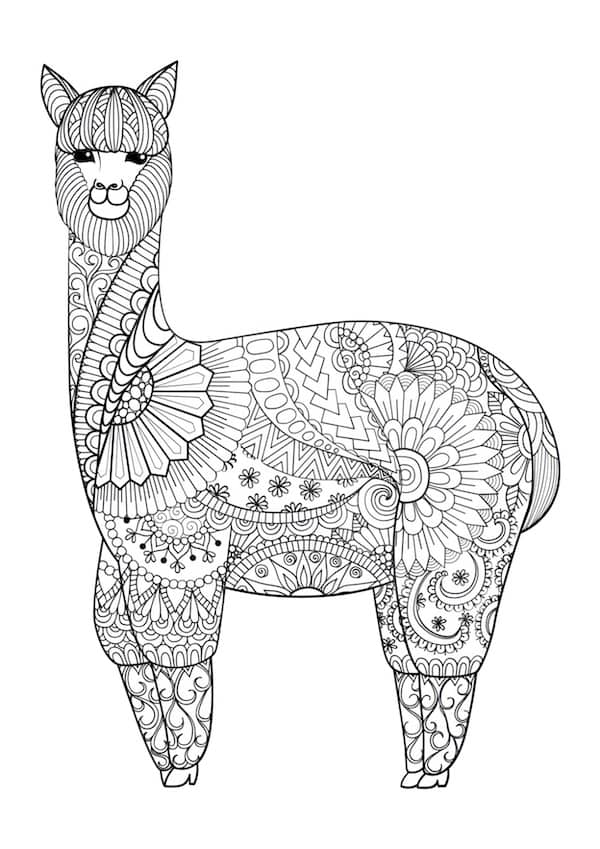 Mandala alpaca coloring page