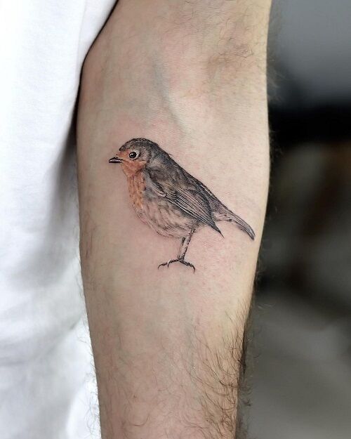 Robin Bird Tattoo